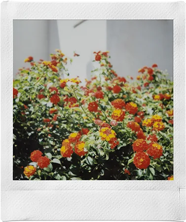 SQUARE Film